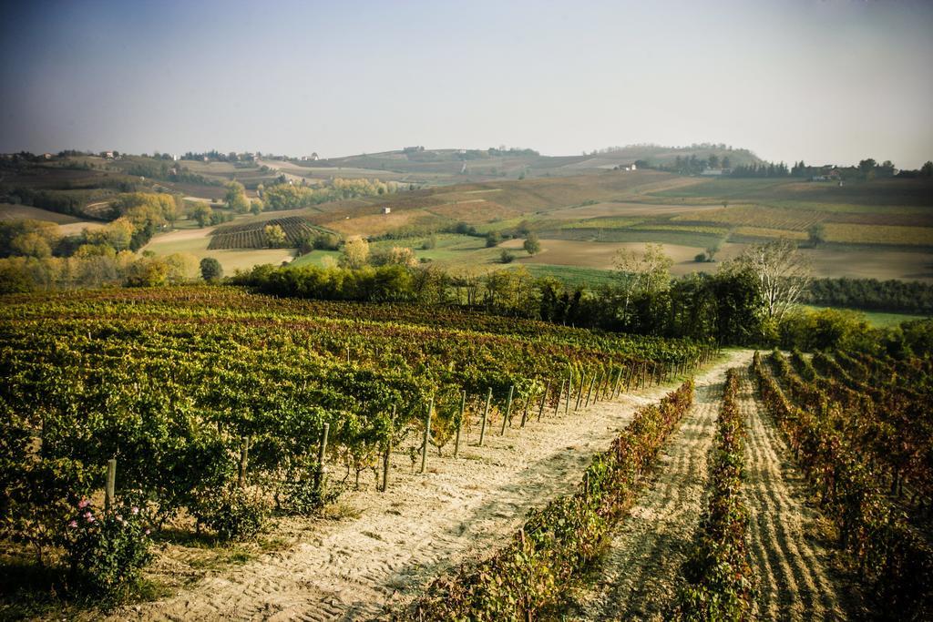 Naturalmente Wine Resort Альяно-Терме Екстер'єр фото