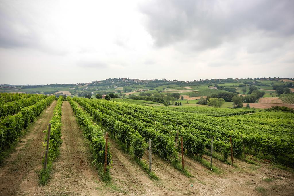 Naturalmente Wine Resort Альяно-Терме Екстер'єр фото